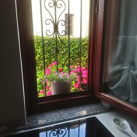 Mass Apartment